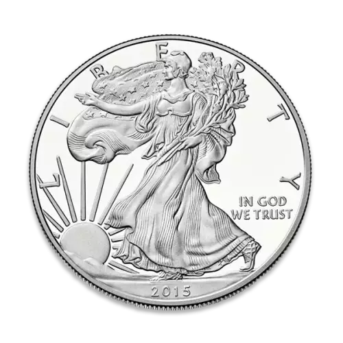 1oz American Silver Eagle Proof - Any Year with OGP

Date will unlikely match image.