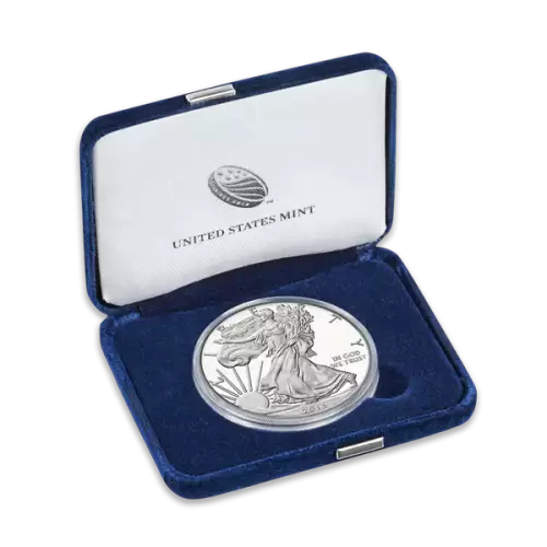 1oz American Silver Eagle Proof - Any Year with OGP

Date will unlikely match image.