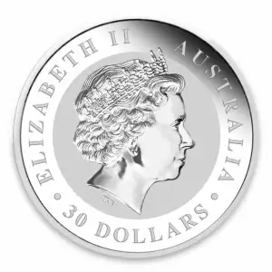 2010 1 kg Australian Perth Mint Silver Kookaburra (2)