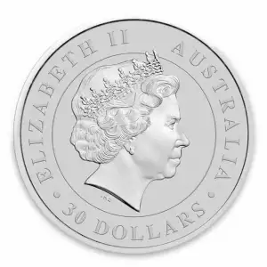 2013 1 kg Australian Perth Mint Silver Koala (2)