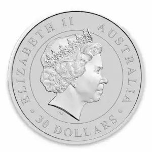 2014 1 kg Australian Perth Mint Silver Koala (2)