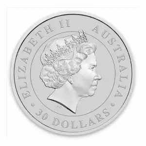 2016 1 kg Australian Perth Mint Silver Koala (2)
