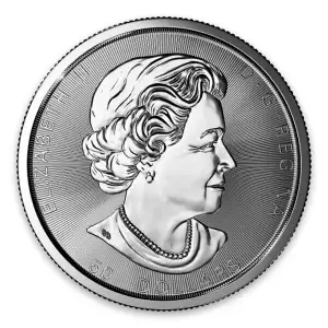 2017 10 oz Canadian Silver Magnificent Maple Leaves (2)